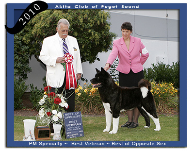 ACPS PM  Best Opposite Sex Best Veteran